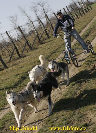 Hustopece 08 - 186.JPG